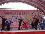 輪椅國標舞表演